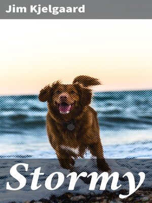 cover image of Stormy